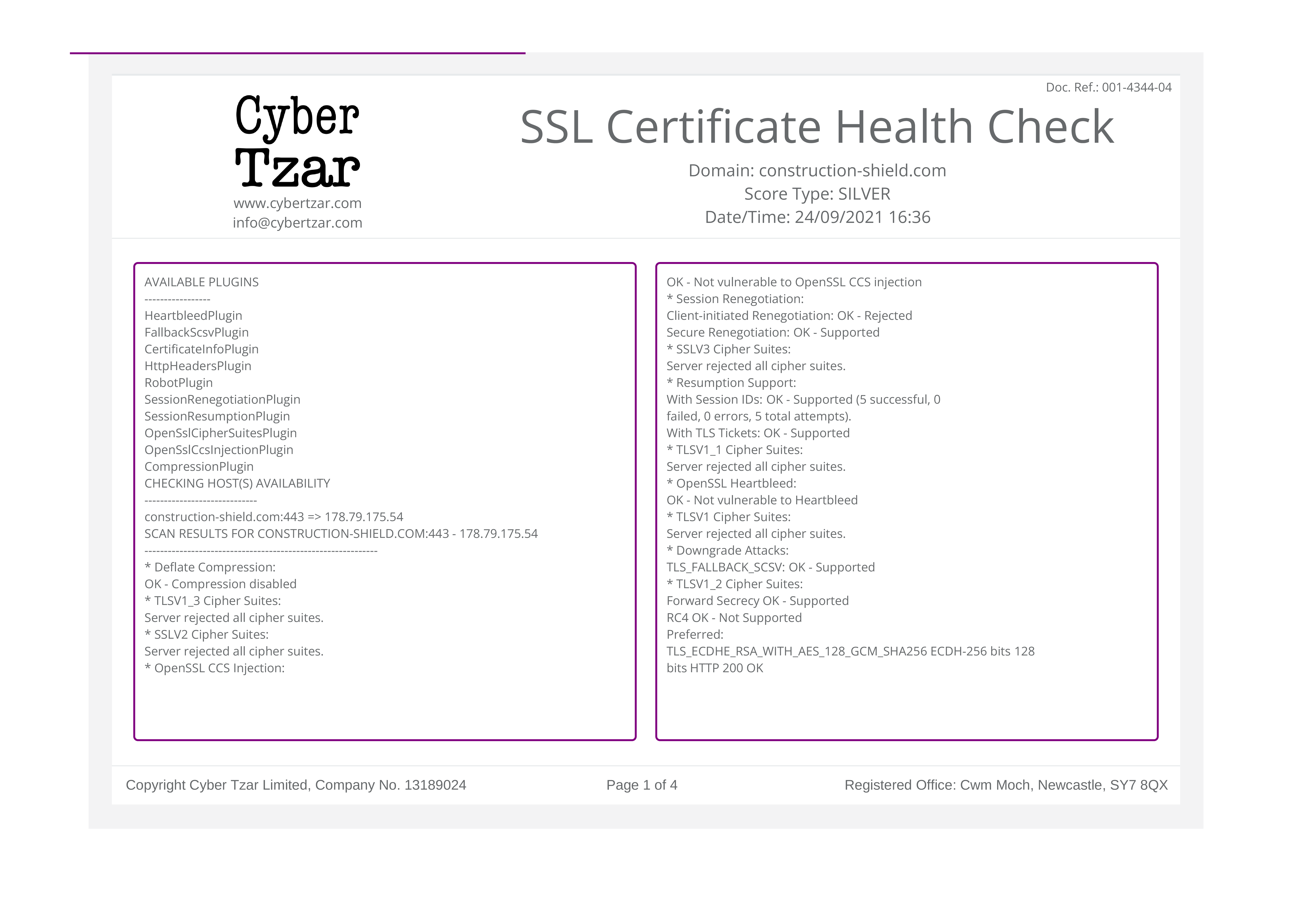 Cyber Tzar SSL Certificate Health Check 1