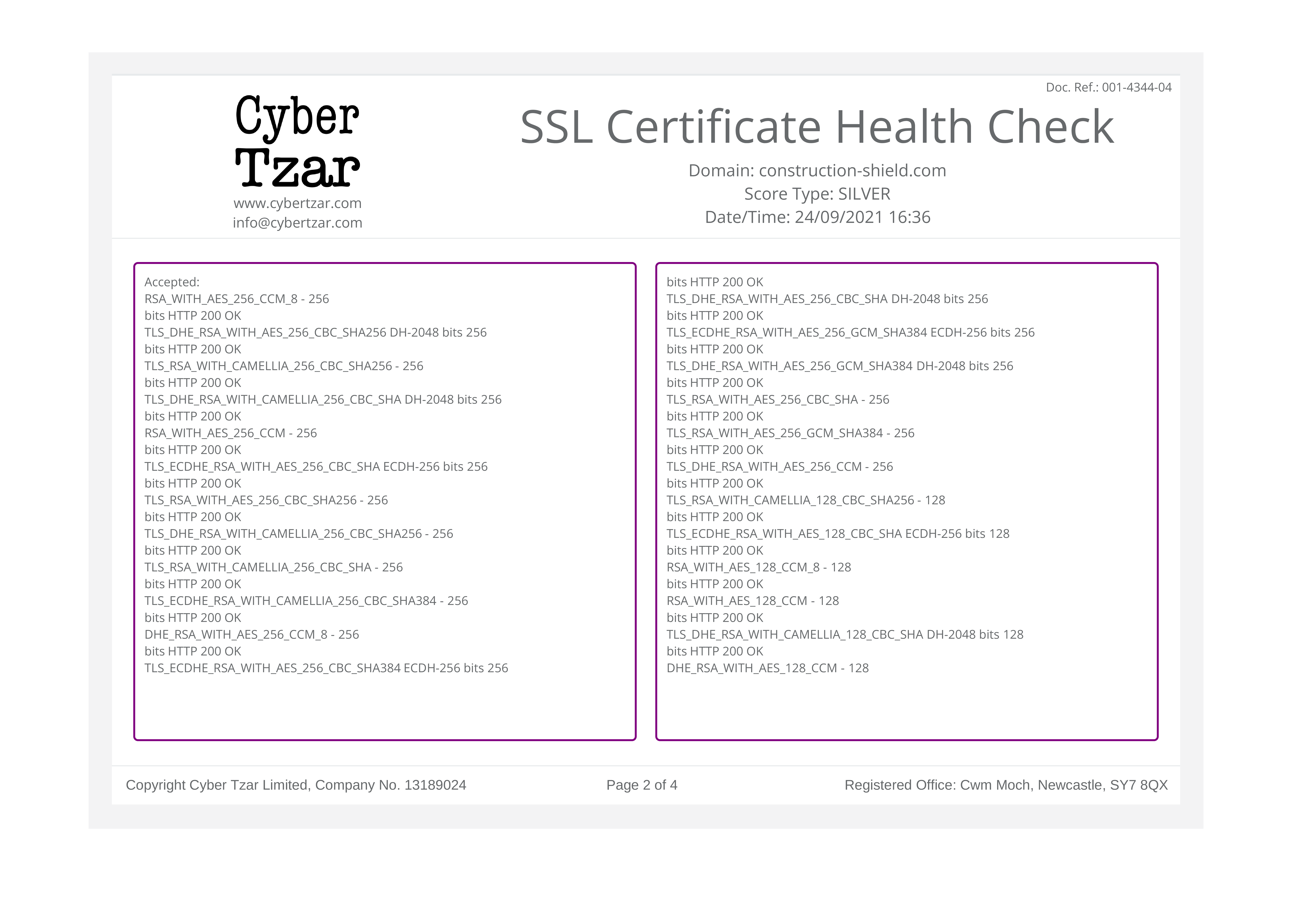 Cyber Tzar SSL Certificate Health Check 2